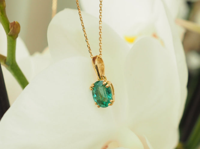 https://cdn.shopify.com/s/files/1/0750/3799/9372/files/P1019152.jpg?v=1780405249