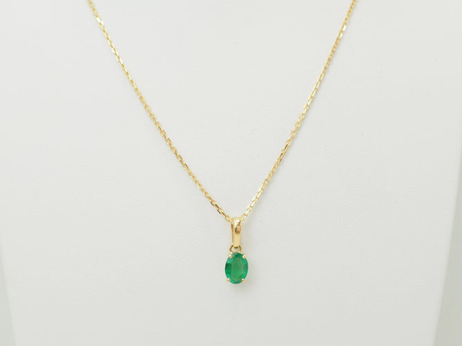 https://cdn.shopify.com/s/files/1/0750/3799/9372/files/P1019231.jpg?v=1780406233