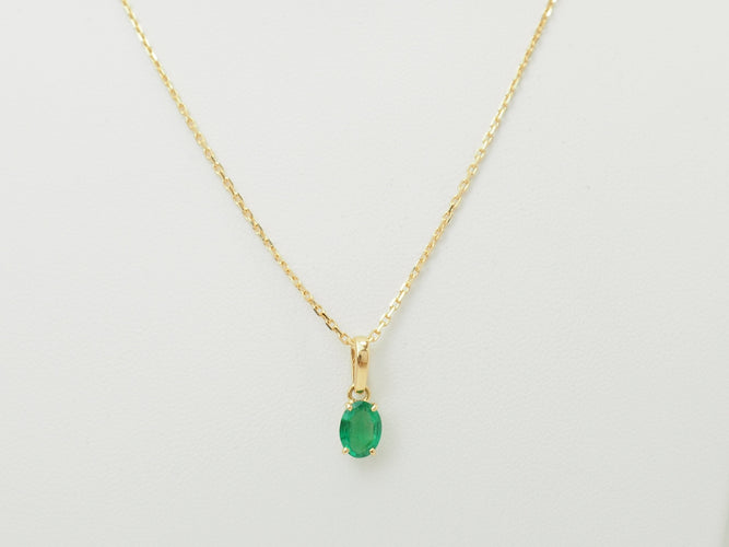 https://cdn.shopify.com/s/files/1/0750/3799/9372/files/P1019232.jpg?v=1780406233
