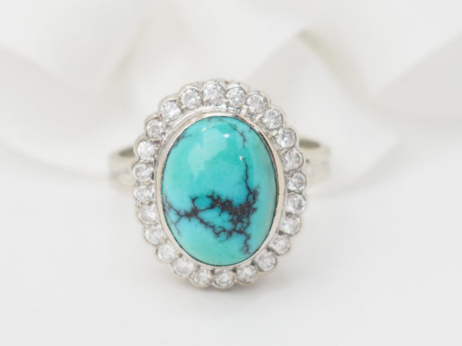 https://cdn.shopify.com/s/files/1/0750/3799/9372/files/P1012232.jpg?v=1751637399