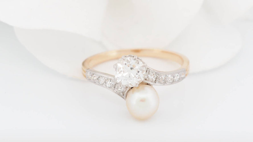 https://cdn.shopify.com/s/files/1/0750/3799/9372/files/P1016572JPG_67af6a97997f22.20460811.jpg?v=1739624614