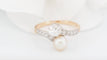 https://cdn.shopify.com/s/files/1/0750/3799/9372/files/P1016572JPG_67af6a97997f22.20460811.jpg?v=1739624614