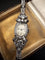 ORL OMEGA CON BRA PLAT  6 CT DIAM  7.jpg