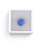 https://cdn.shopify.com/s/files/1/1015/8633/8124/files/unheated-ceylon-round-cushion-sapphire-3-48ct-gemstone-box.jpg?v=1779880065