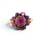 https://cdn.shopify.com/s/files/1/1015/8633/8124/files/antique-victorian-daisy-ring-garnets-1.jpg?v=1779805983