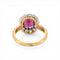 https://cdn.shopify.com/s/files/1/1015/8633/8124/files/antique-victorian-daisy-ring-garnet-diamond-gold-4.jpg?v=1778411881