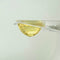 https://cdn.shopify.com/s/files/1/1015/8633/8124/files/unheated-yellow-sapphire-ceylon-back-view.jpg?v=1779878695