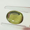 https://cdn.shopify.com/s/files/1/1015/8633/8124/files/unheated-green-sapphire-ceylon-back-view.jpg?v=1779878862