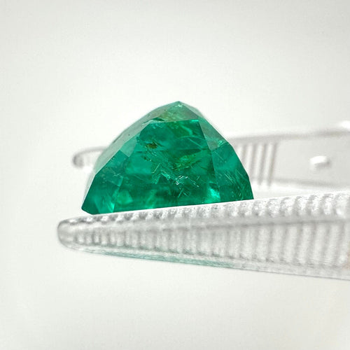 https://cdn.shopify.com/s/files/1/1015/8633/8124/files/557D21F2-CC8F-4E92-AB4C-DD7940BA1CF2.jpg?v=1779980662