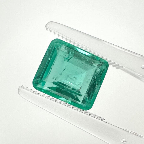 https://cdn.shopify.com/s/files/1/1015/8633/8124/files/C4E8DA82-1CCF-4D07-94E3-6F825010CC87.jpg?v=1779980706