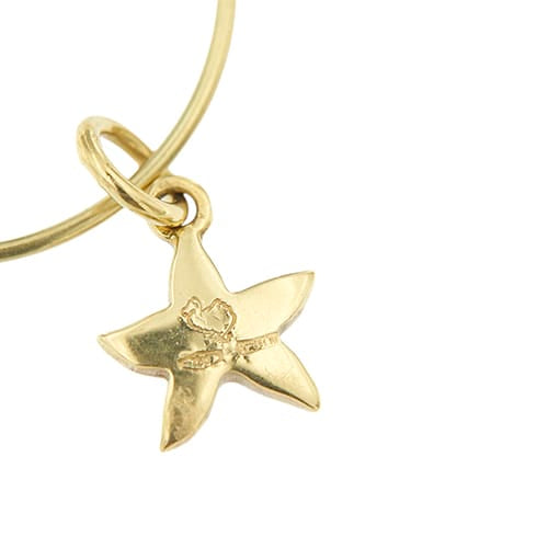 https://api-ledial.emberware.it/app/uploads/2026/05/41065-orecchini-cerchio-oro-Dodo-tartaruga-stella_09.jpg