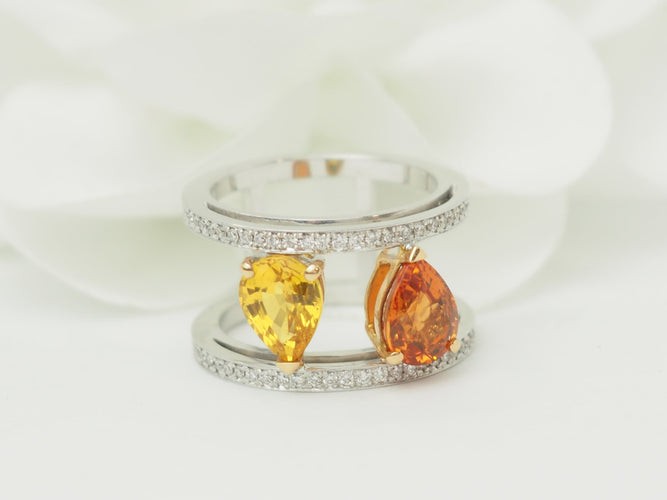 https://cdn.shopify.com/s/files/1/0750/3799/9372/files/P1019408.jpg?v=1780584103