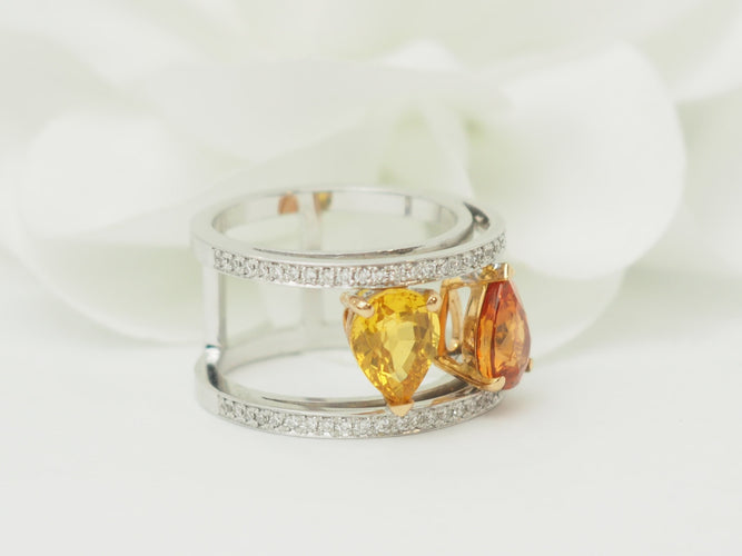 https://cdn.shopify.com/s/files/1/0750/3799/9372/files/P1019393.jpg?v=1780584104