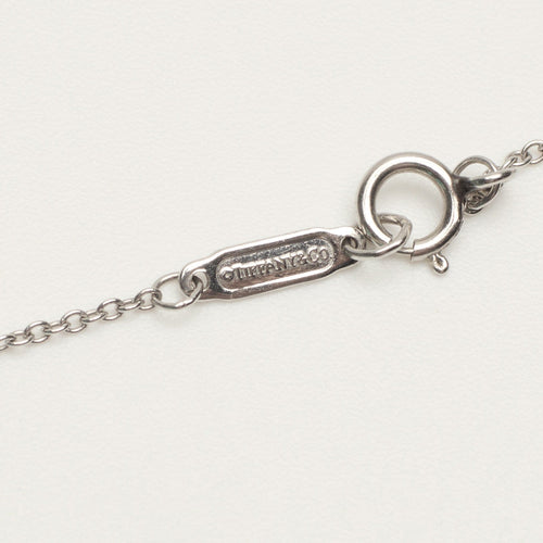 https://cdn.shopify.com/s/files/1/0735/5324/8552/files/tiffany_wg_nckl_circle_dmnds_0040.jpg?v=1780609079
