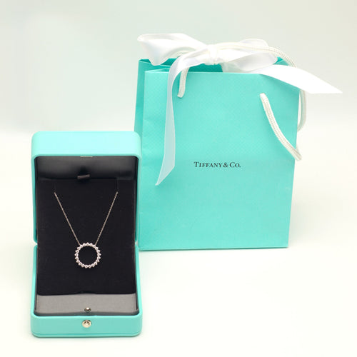 https://cdn.shopify.com/s/files/1/0735/5324/8552/files/tiffany_wg_nckl_circle_dmnds_0049.jpg?v=1780609080