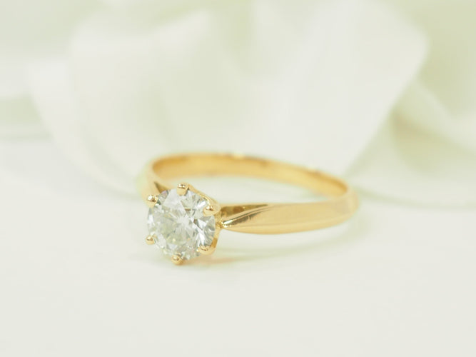 https://cdn.shopify.com/s/files/1/0750/3799/9372/files/P1019474.jpg?v=1780663223