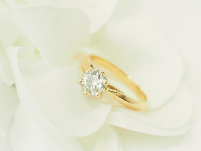 https://cdn.shopify.com/s/files/1/0750/3799/9372/files/P1019480.jpg?v=1780663224