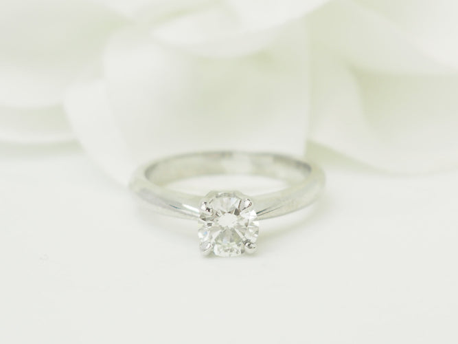 https://cdn.shopify.com/s/files/1/0750/3799/9372/files/P1019437.jpg?v=1780663570