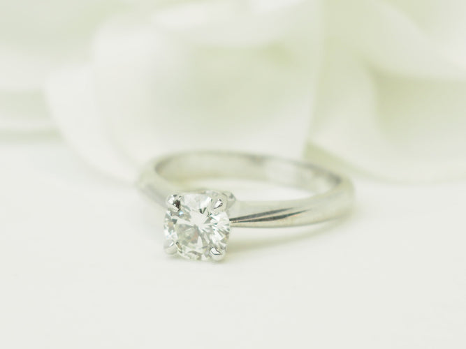 https://cdn.shopify.com/s/files/1/0750/3799/9372/files/P1019446.jpg?v=1780663571