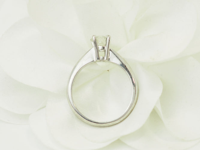 https://cdn.shopify.com/s/files/1/0750/3799/9372/files/P1019449.jpg?v=1780663570