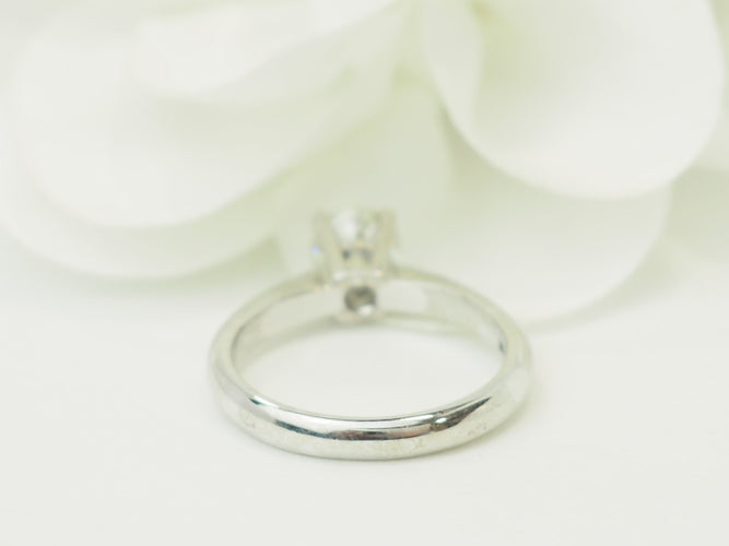 https://cdn.shopify.com/s/files/1/0750/3799/9372/files/P1019451.jpg?v=1780663570
