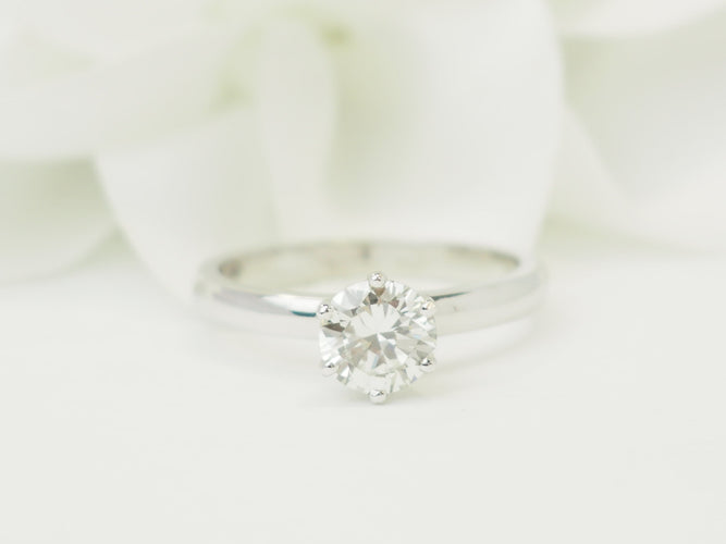 https://cdn.shopify.com/s/files/1/0750/3799/9372/files/P1019507.jpg?v=1780663803