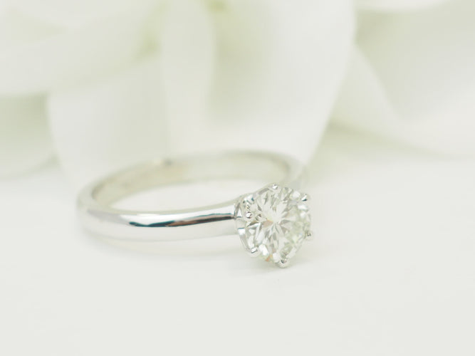 https://cdn.shopify.com/s/files/1/0750/3799/9372/files/P1019509.jpg?v=1780663803