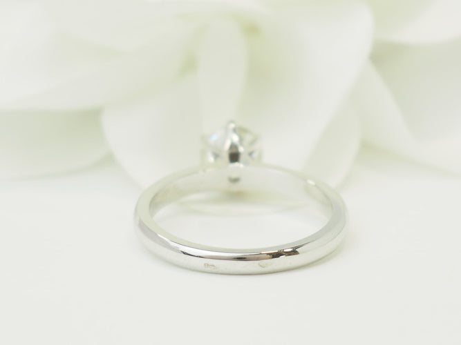 https://cdn.shopify.com/s/files/1/0750/3799/9372/files/P1019525.jpg?v=1780663802