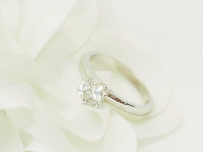 https://cdn.shopify.com/s/files/1/0750/3799/9372/files/P1019531.jpg?v=1780663804