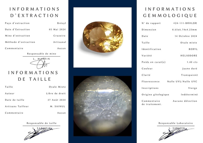 Inner Page.jpg