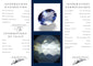 Pendentif Tanzanite - Pierre ovale mixte de Tanzanie 0,74 ct 58 Facettes #24-108-TZVLCH