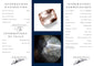 Inner Page.jpg