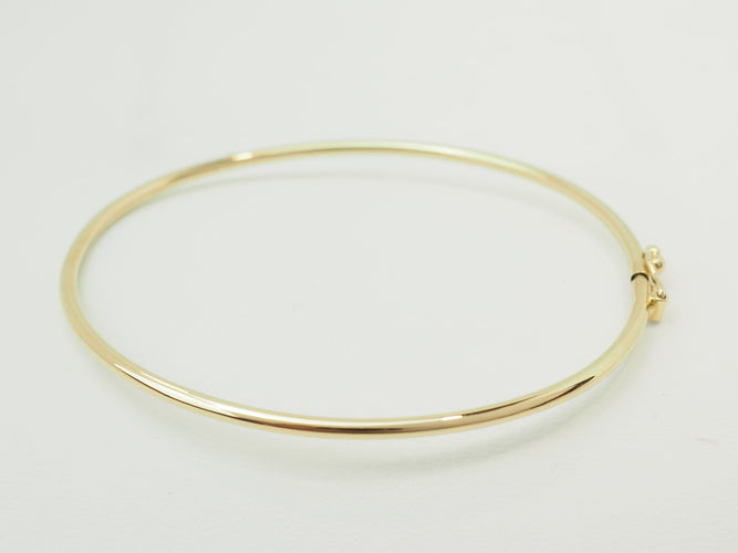 https://cdn.shopify.com/s/files/1/0750/3799/9372/files/P1019681.jpg?v=1781096438