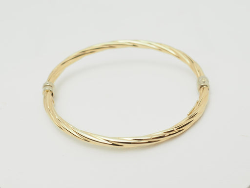 https://cdn.shopify.com/s/files/1/0750/3799/9372/files/P1019705.jpg?v=1781096780