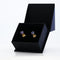 CAT02761.jpg