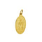 https://api-ledial.emberware.it/app/uploads/2026/06/41261-ciondolo-oro-madonna-miracolosa_06.jpg