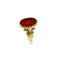 https://api-ledial.emberware.it/app/uploads/2026/06/38403-anello-oro-scudo-uomo-corniola_10.jpg