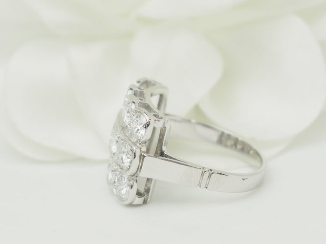 https://cdn.shopify.com/s/files/1/0750/3799/9372/files/P1019850.jpg?v=1781616416