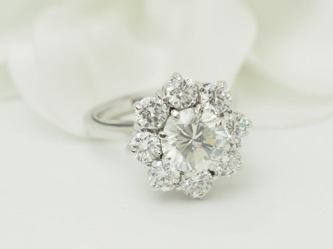 https://cdn.shopify.com/s/files/1/0750/3799/9372/files/P1019871.jpg?v=1781624220