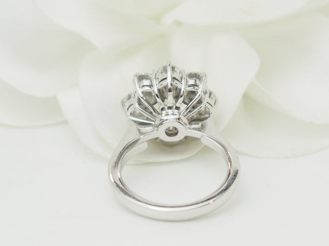 https://cdn.shopify.com/s/files/1/0750/3799/9372/files/P1019876.jpg?v=1781624220