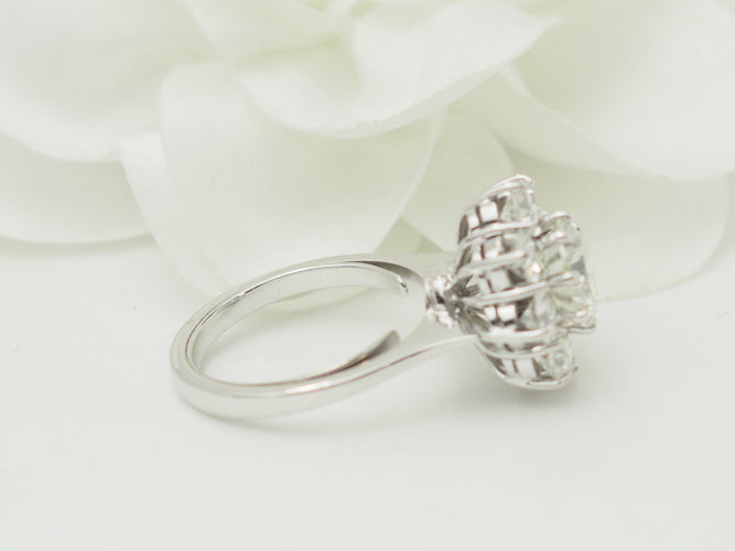 https://cdn.shopify.com/s/files/1/0750/3799/9372/files/P1019875.jpg?v=1781624220