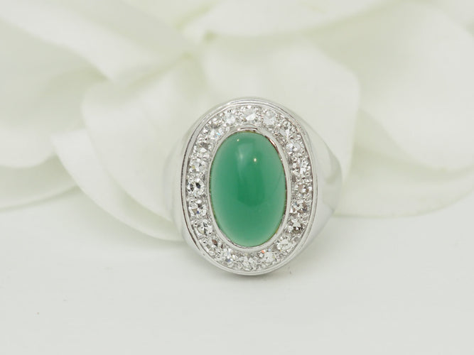 https://cdn.shopify.com/s/files/1/0750/3799/9372/files/P1019949.jpg?v=1781624648
