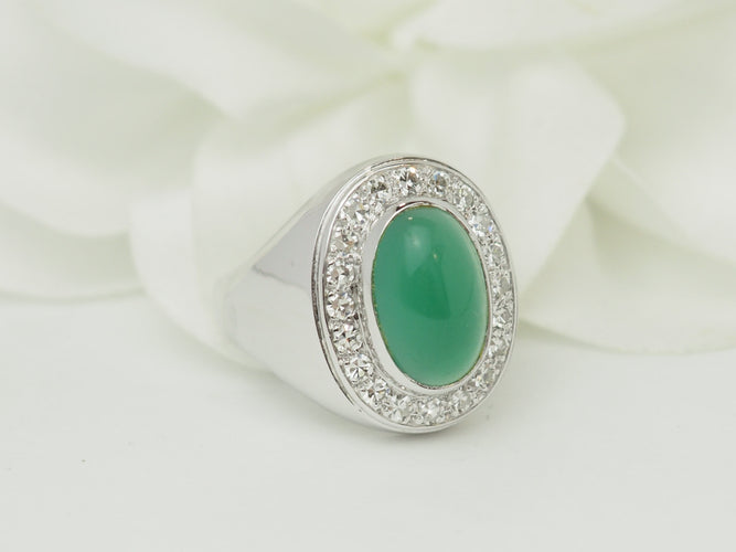 https://cdn.shopify.com/s/files/1/0750/3799/9372/files/P1019933.jpg?v=1781624648