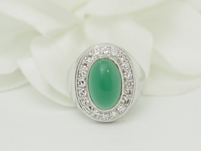 https://cdn.shopify.com/s/files/1/0750/3799/9372/files/P1019948.jpg?v=1781624648
