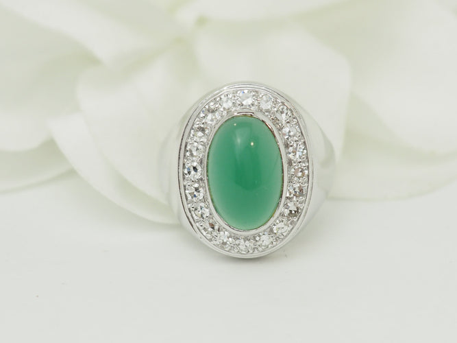 https://cdn.shopify.com/s/files/1/0750/3799/9372/files/P1019950.jpg?v=1781624648