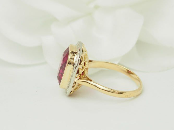 https://cdn.shopify.com/s/files/1/0750/3799/9372/files/P1019903.jpg?v=1781625096