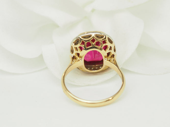 https://cdn.shopify.com/s/files/1/0750/3799/9372/files/P1019904.jpg?v=1781625096