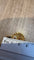 IMG_6540.jpeg