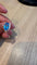 IMG_6545.jpeg