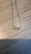 IMG_6564.jpeg